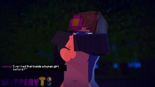 Jenny x Creeper (Minecraft 18+ Sexual Intercourse) (Original) SlipperyT